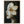 a00b8078-6020-4db5-9512-ada5bcb6c69b