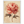a3cff86b-d83e-4b38-954f-ac0d760747eb