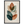 a7048a11-777c-442f-bdbd-cdecd64f83f9