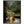 a9536140-fb1d-497b-8598-8029250721db