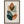 b82688de-9475-4cee-81a5-b108e790665a