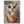b9a36955-c468-4b4b-a557-ccedcd531d13