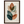 bcbb5db9-9569-4fe5-94d6-d9ded8c3e9d3