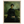 bd856582-ebeb-4a00-9c0b-2b415c1def26