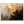 be946c3c-a649-40cd-b0c2-fd8a80591b17