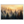 c2a17009-3f67-472e-b975-fa3709006dbd
