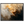c2d200f6-57b6-4c37-8446-cbc0ac1e1679