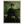 c61d5e6e-0bfd-43cc-ac75-450384428383