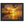 c6be761c-bbfa-415f-ac9b-d46a60f3f3d3