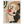 c6f45be3-cf07-4174-ba51-e0d99e50e7ad