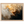 cb252c78-4b4c-4bce-a801-d2871a8a16ea