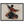 d0f10c14-3a23-451f-880a-94edecb02960