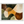 d2d2a7ed-9006-4acb-b91f-00da58108ce1