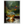 d51408d7-81d8-4d17-b4ea-16ffa813b0e0