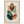 d5980b80-94b7-454e-8104-f621663546fe