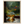e422b98c-3faa-44ee-8468-14fc13c83f0a