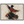e4c3dff9-e4a9-49d2-8b9e-2a743ea15488
