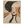 e5c44488-1134-43a5-aaf6-9abdd440c188