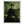 e8b41518-028c-4e9f-9da3-d4f1a8a2071f