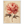 ea036d78-d7f2-408d-883a-ea0e3d0717ca