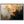ef6e6e3a-3a04-4da0-985e-17d40d3fc453