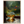 f2d8cc95-d260-4759-bd85-6f267230afce