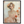 f495a984-a37d-4e52-a37b-c7575ace8f76
