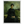 f4d14132-adbc-40ea-b61e-1aee4dfff08c