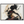f56d8fad-cf72-481a-8043-96b41502d8c2