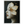 fb608010-5334-425d-9ebc-5cb40e282e91
